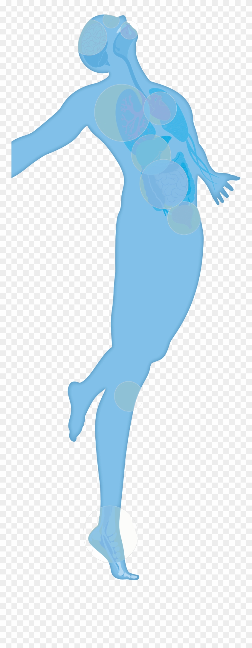 Your Amazing Body Clipart