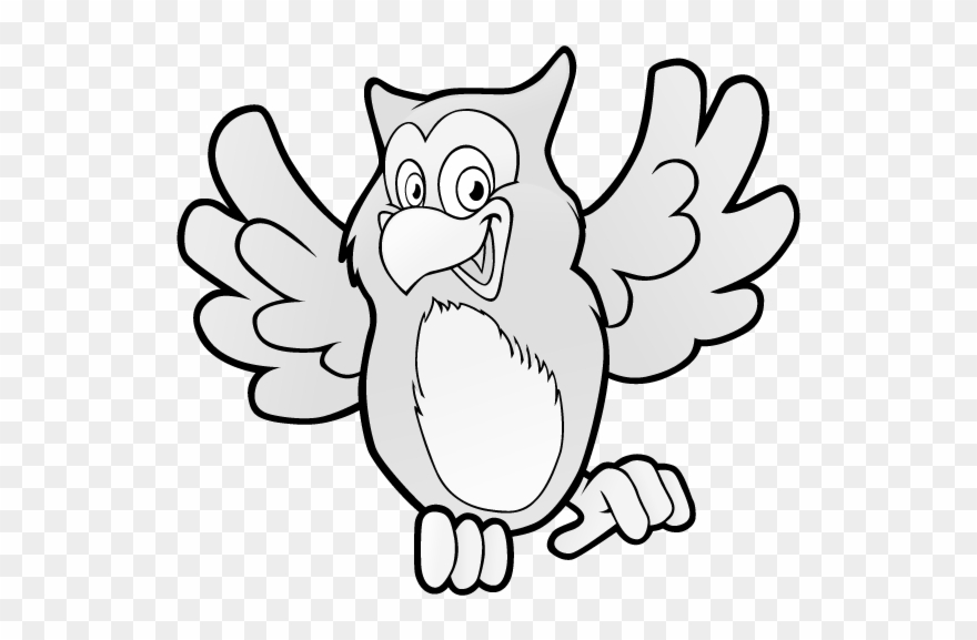 Owl Clipart