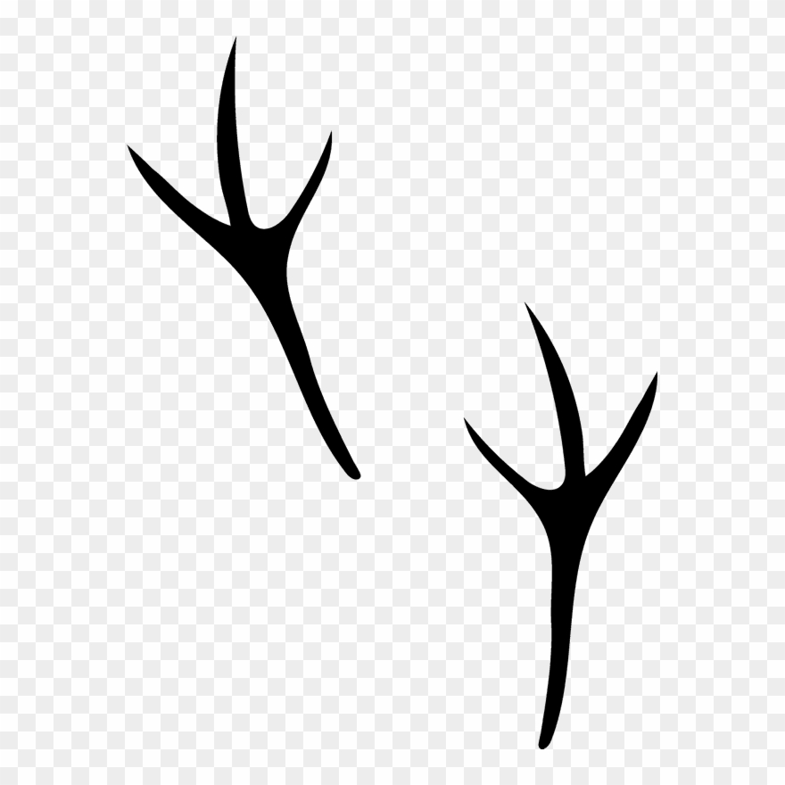 Sparrow Tracks Rubber Stamp Clipart