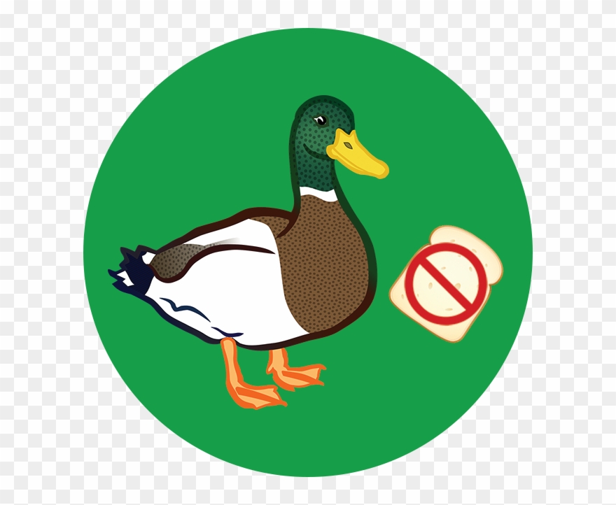 Wildlife & Bread Clipart