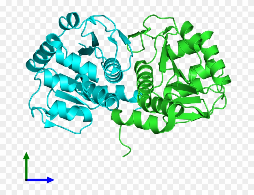 Ribbon Structure Of 3sf8 Clipart
