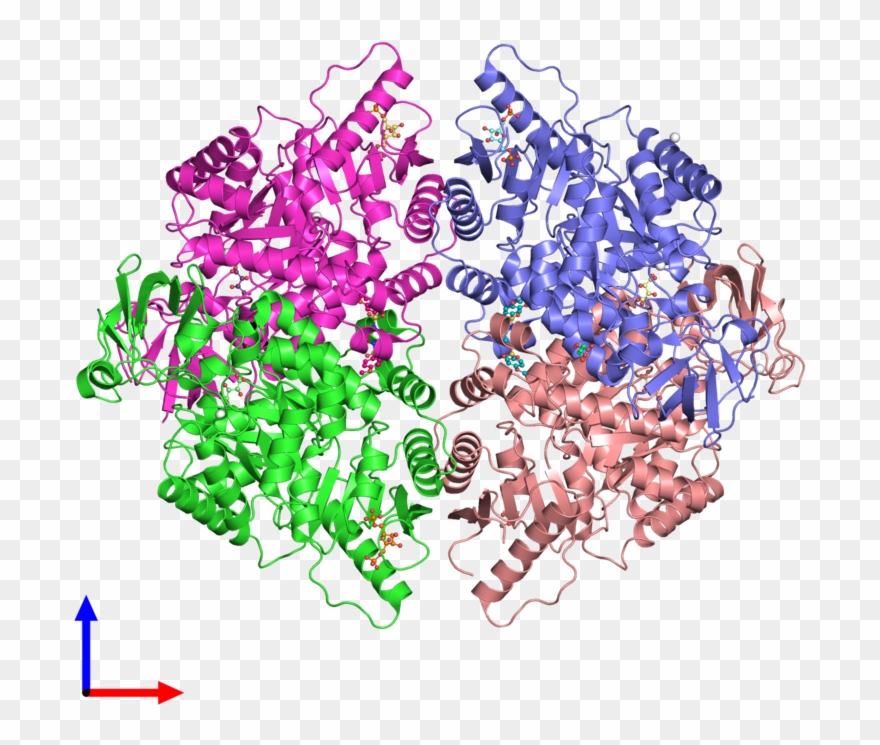 Ribbon Structure Of 3gqy Clipart