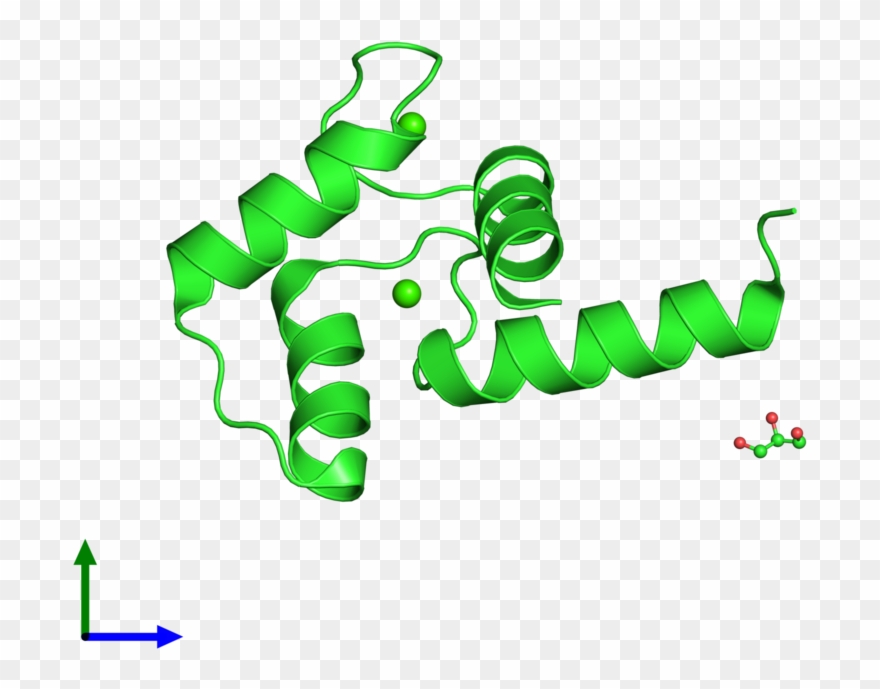 Ribbon Structure Of 2i08 Clipart