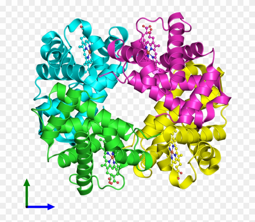 Ribbon Structure Of 1xye Clipart