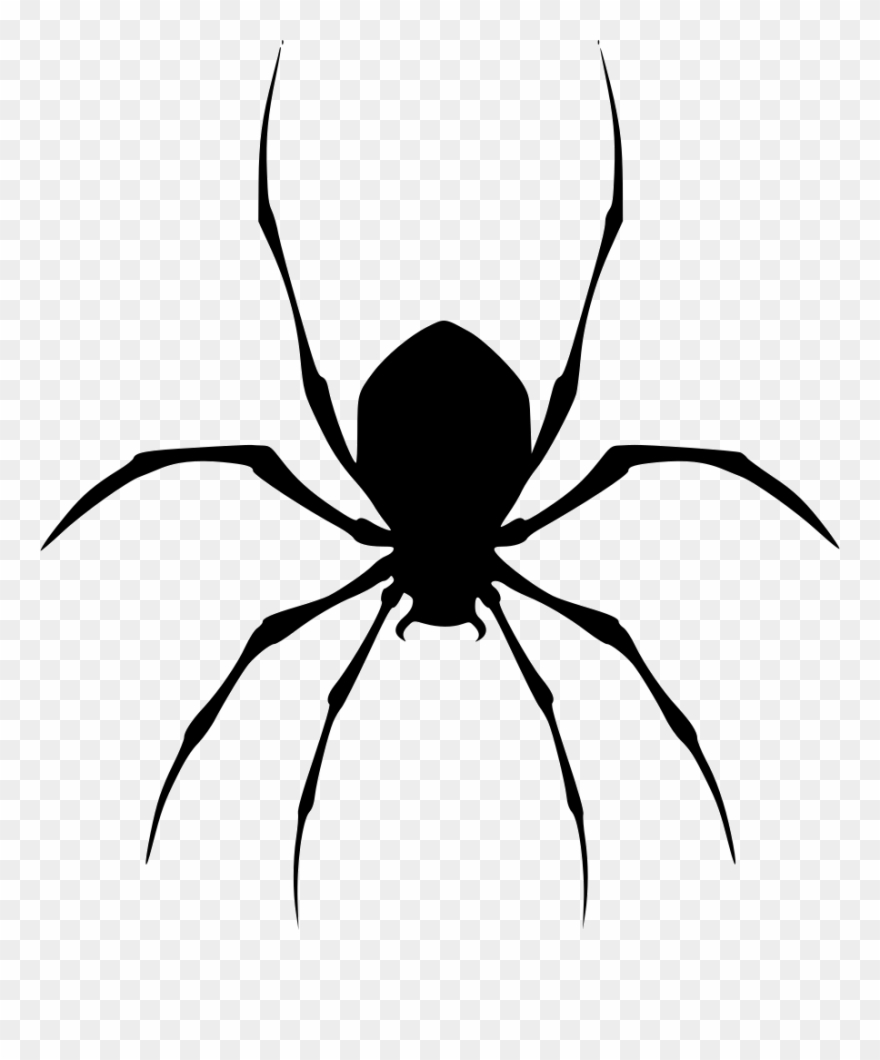 Spider Comments Clipart