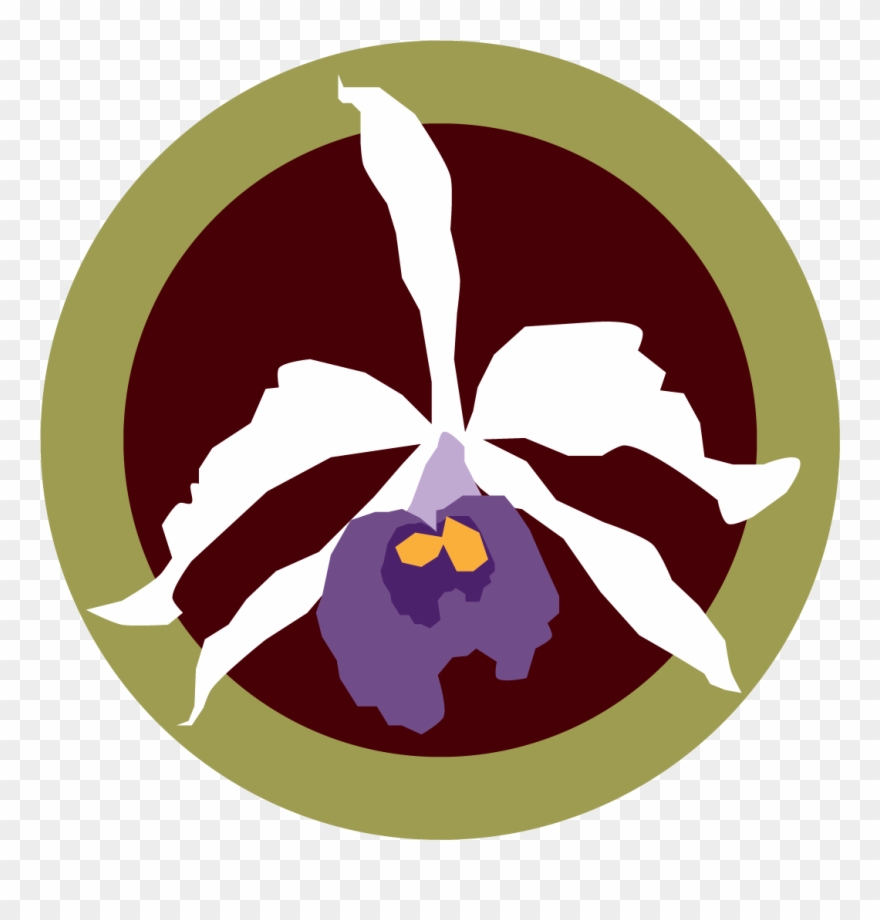 Narrettwist Posted - Clipart