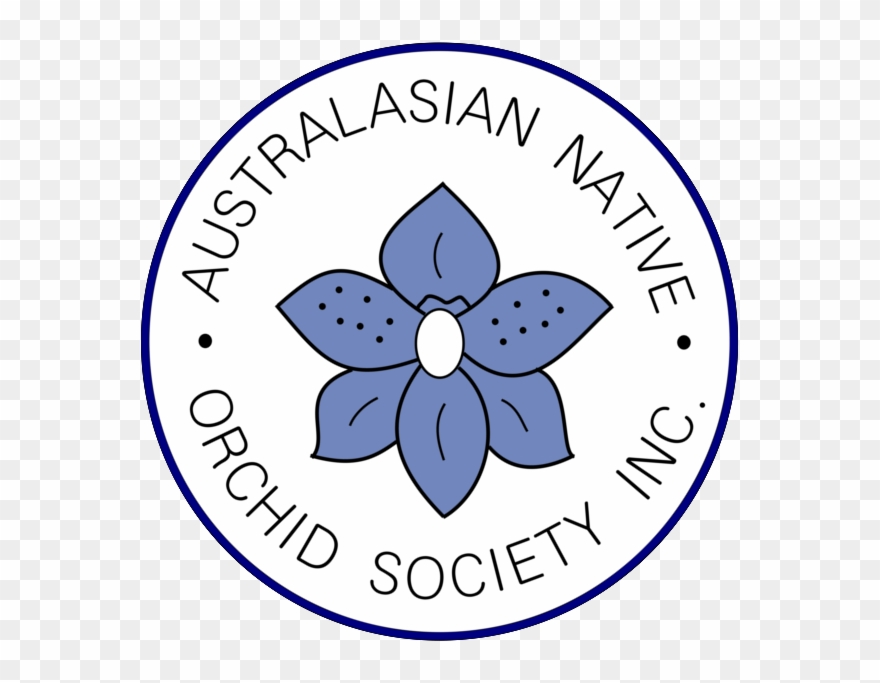 Australasian Native Orchid Society Clipart