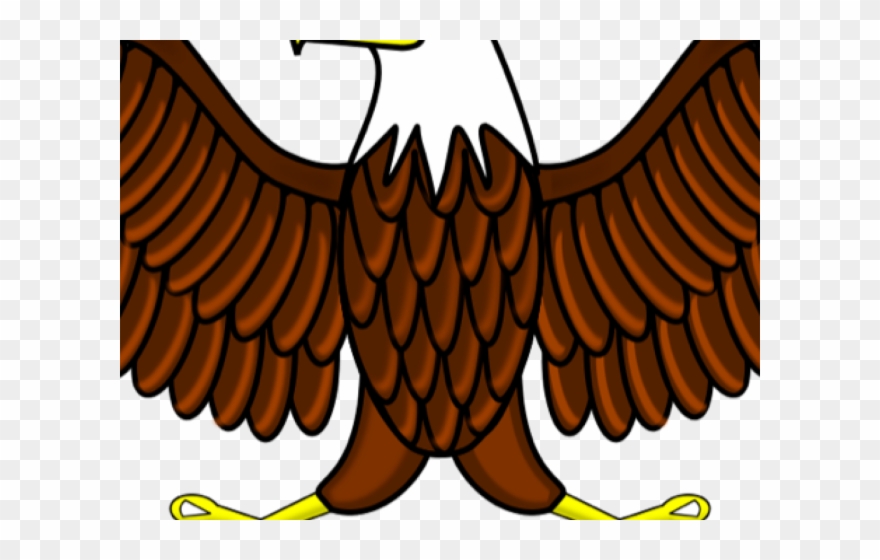 White Tailed Eagle Clipart Shaheen - Png Download