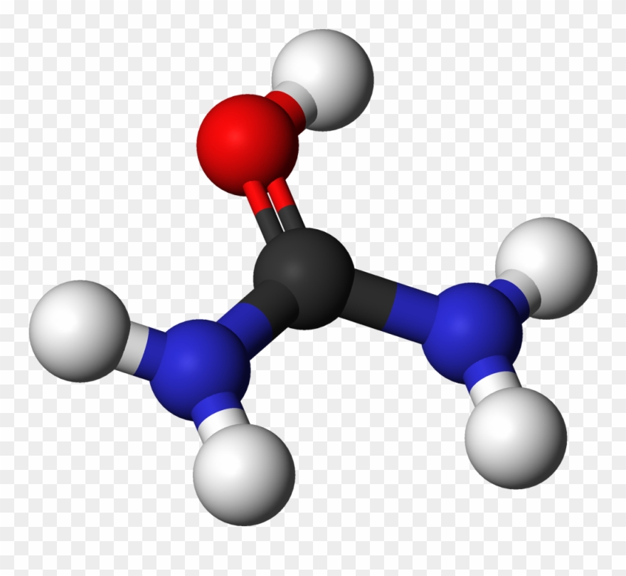Urea Cation 3d Balls Clipart
