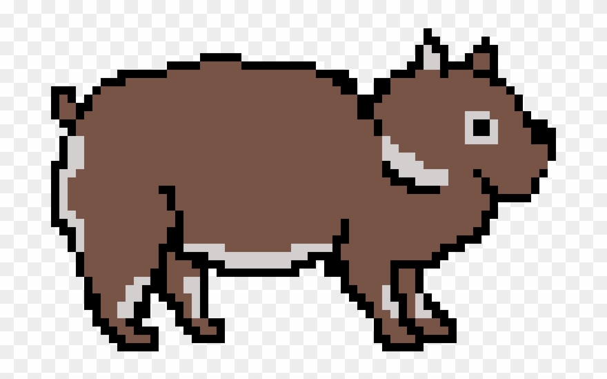Wombat-idle Clipart