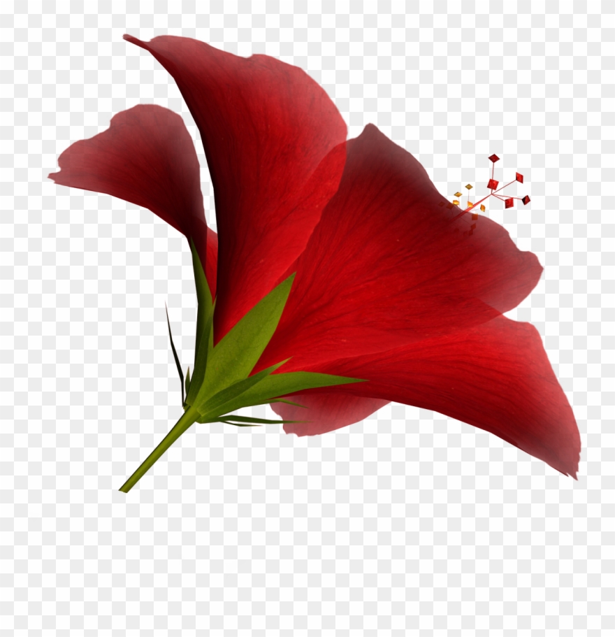 Clipart Of Resolution, Definition And Rather - Png Download