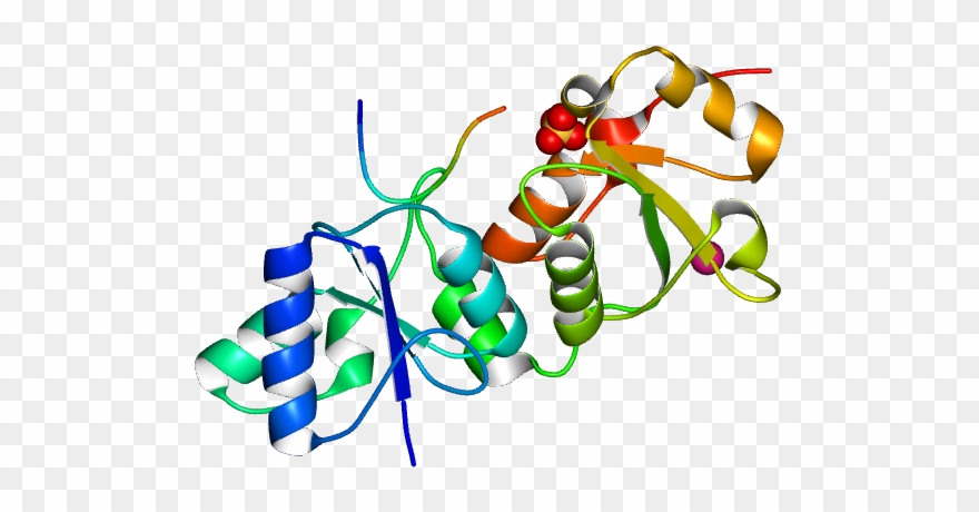 Molmil Generated Image Of 1y98 Clipart