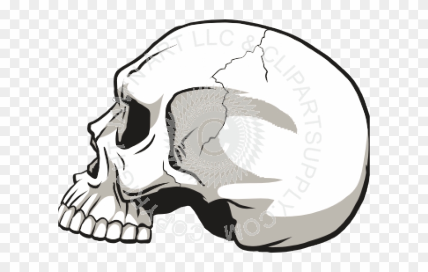 Skeleton Head Clipart Coreldraw - Png Download