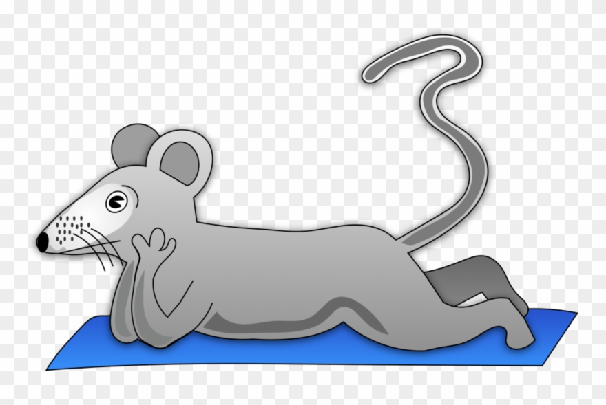 A Rat's History Of Psychology Clipart