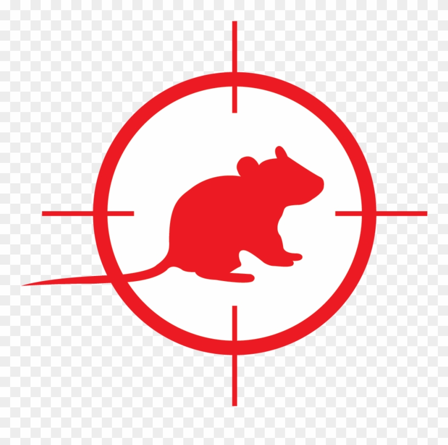 Rats Clipart
