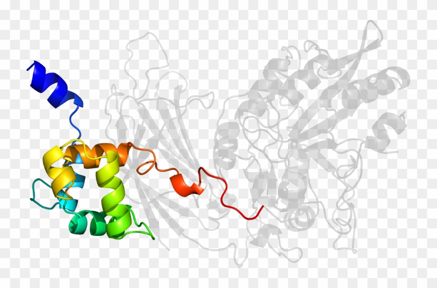 D1isda1 In Context Of Chain Clipart