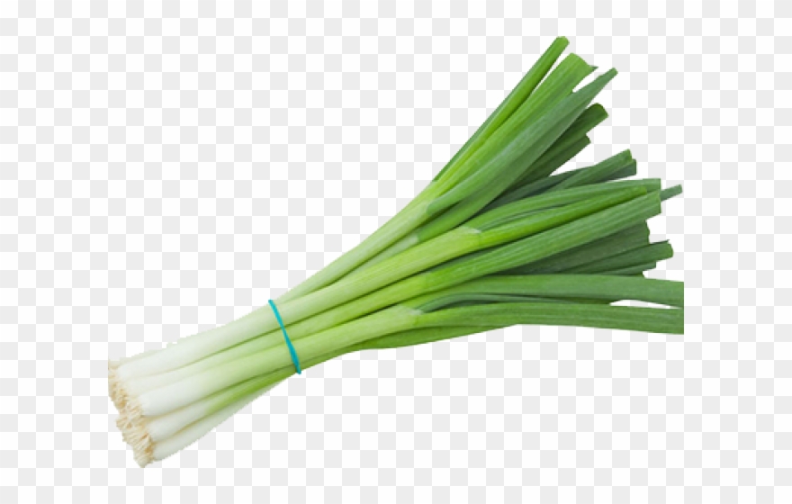 Onion Clipart File - Png Download