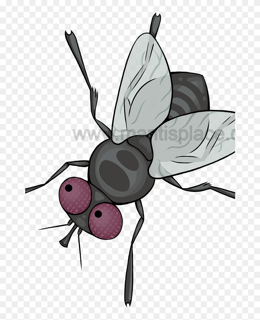 Large Order Approximately 500 Pupae Clipart