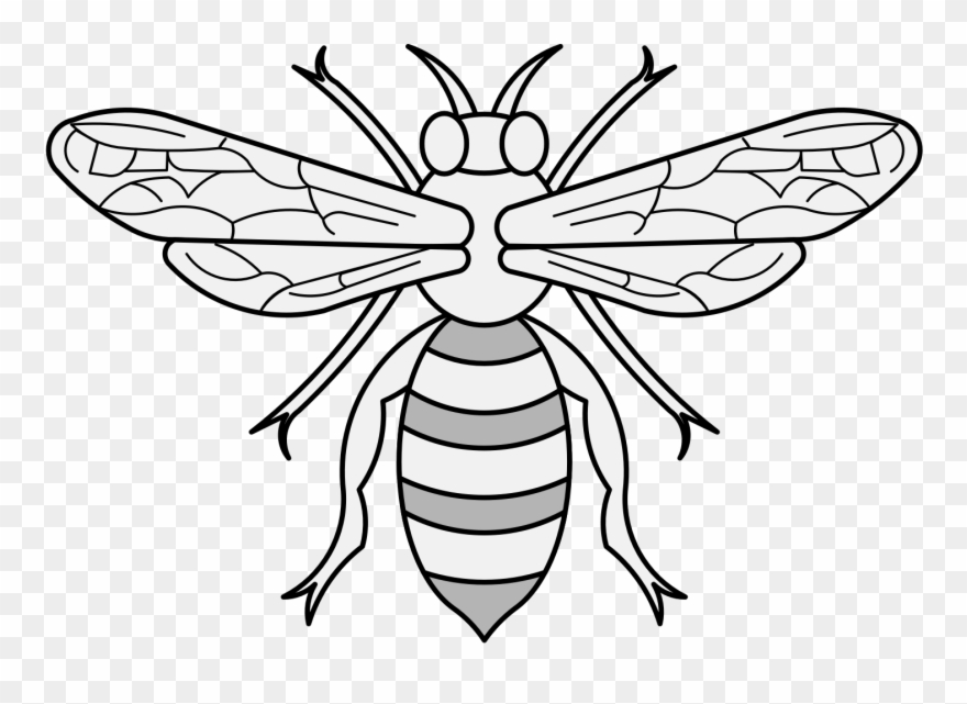 Bee Traceable Heraldic Art Honey Bee Hive Clip Art - Png Download