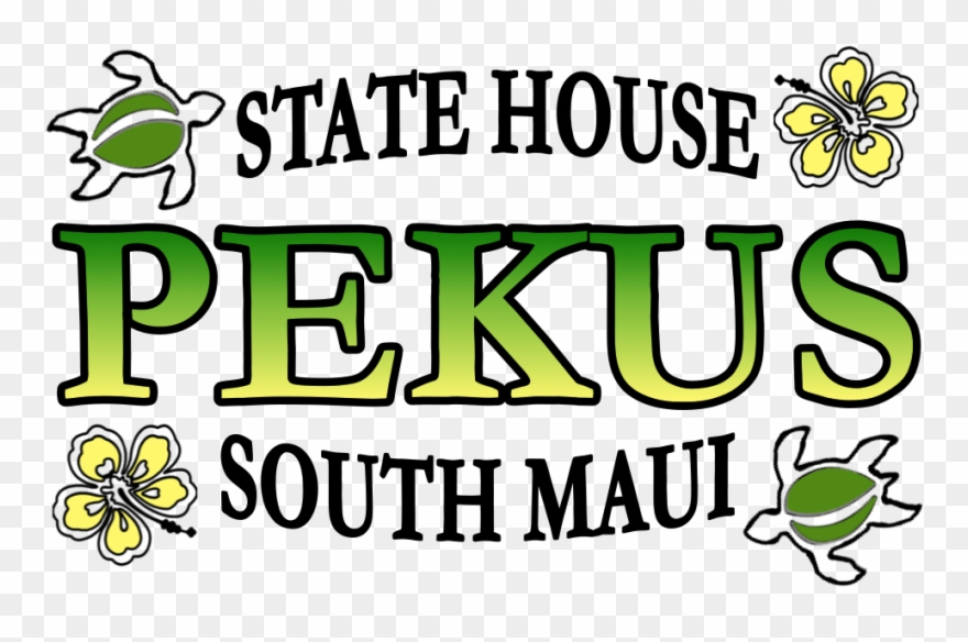 What State Issues Are South Maui Residents "talking Clipart