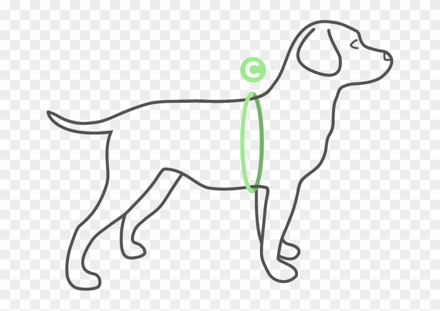 Chest Measurement Clipart