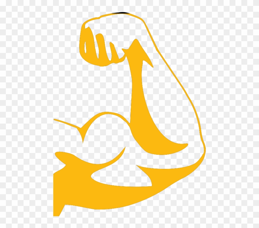 Biceps-159681 960 Clipart