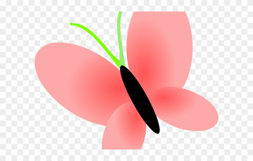 Butterfly Clipart Clear Background - Png Download