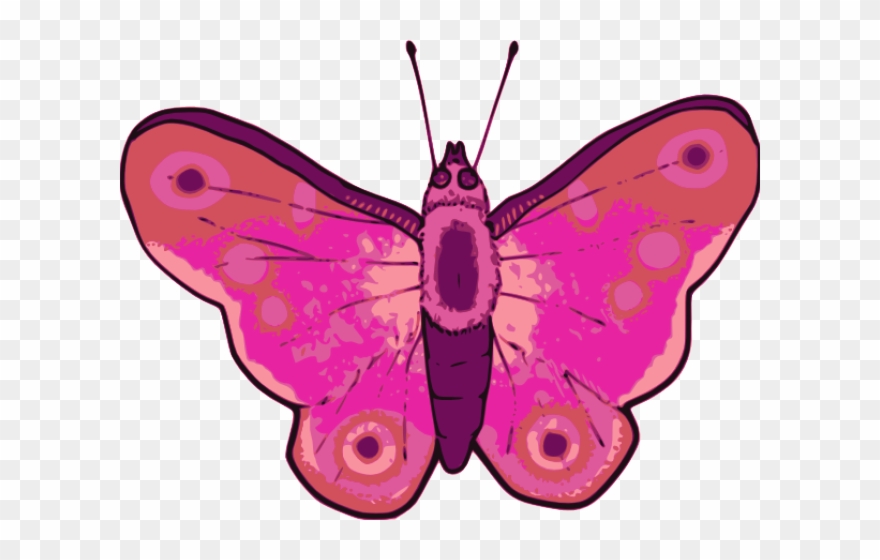 Symmetry Clipart Pink Butterfly - Png Download