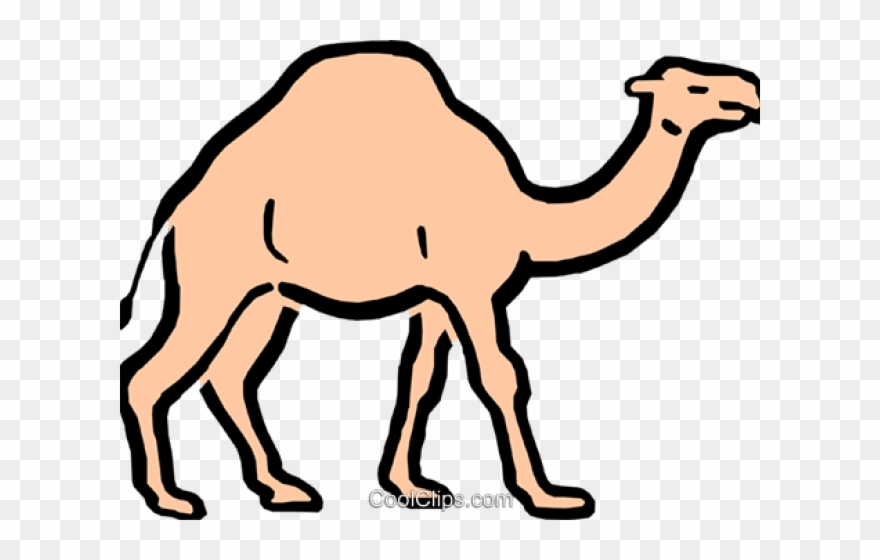 Camels Clipart Camel Cart - Png Download