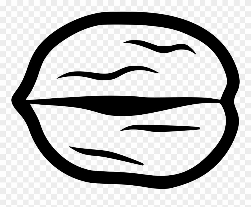 Walnut Comments Clipart