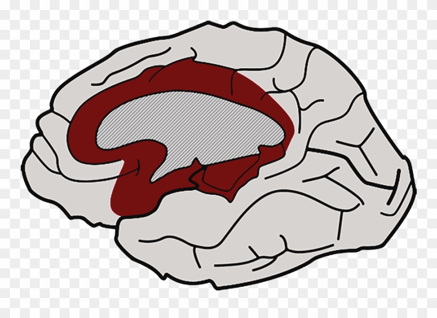 Affective Networks The "why" Of Learning Clipart