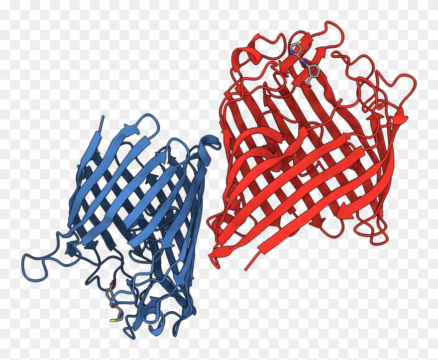 Chains Colored In Rainbow Clipart