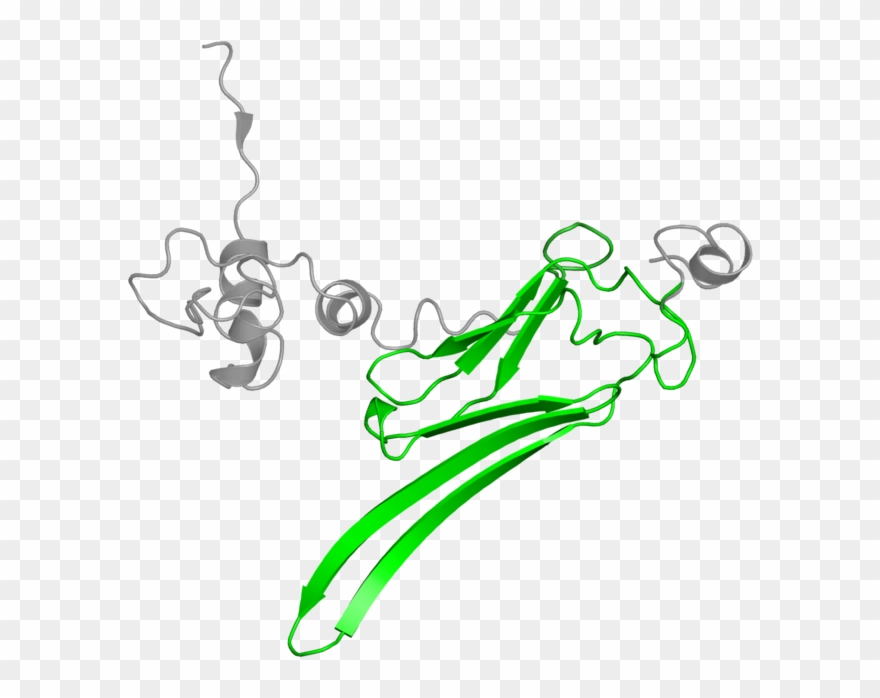 <div Class='caption-body'>1 Copy Of Pfam Domain < Clipart
