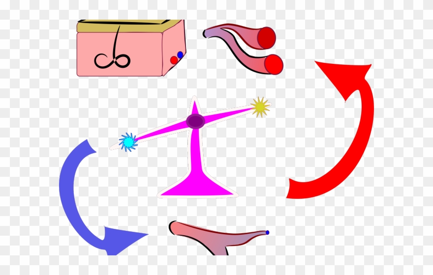 Cold Clipart Homeostasis - Png Download