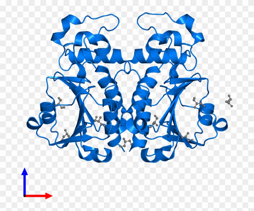 <div Class='caption-body'>pdb Entry 3bbe Contains 2 Clipart