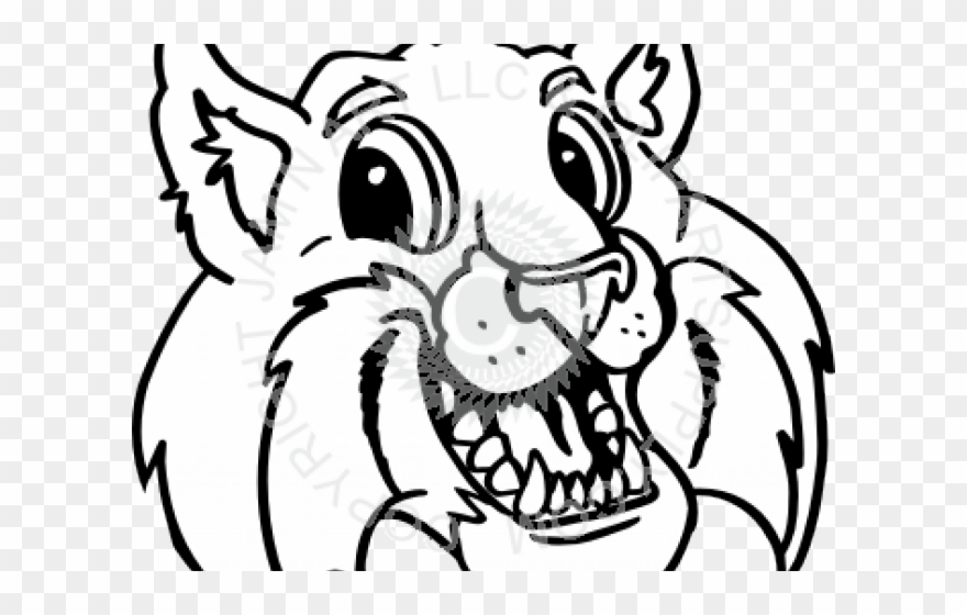 Bobcat Clipart Eyes - Png Download