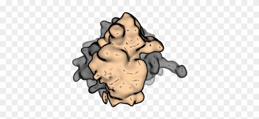 A Visual Guide To Evolution Of Protein Synthesis Clipart