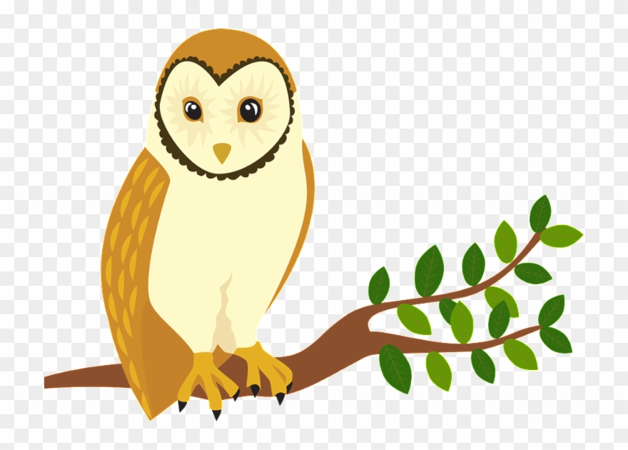 Our Whole Lives Is A Comprehensive Sexuality Education Clipart