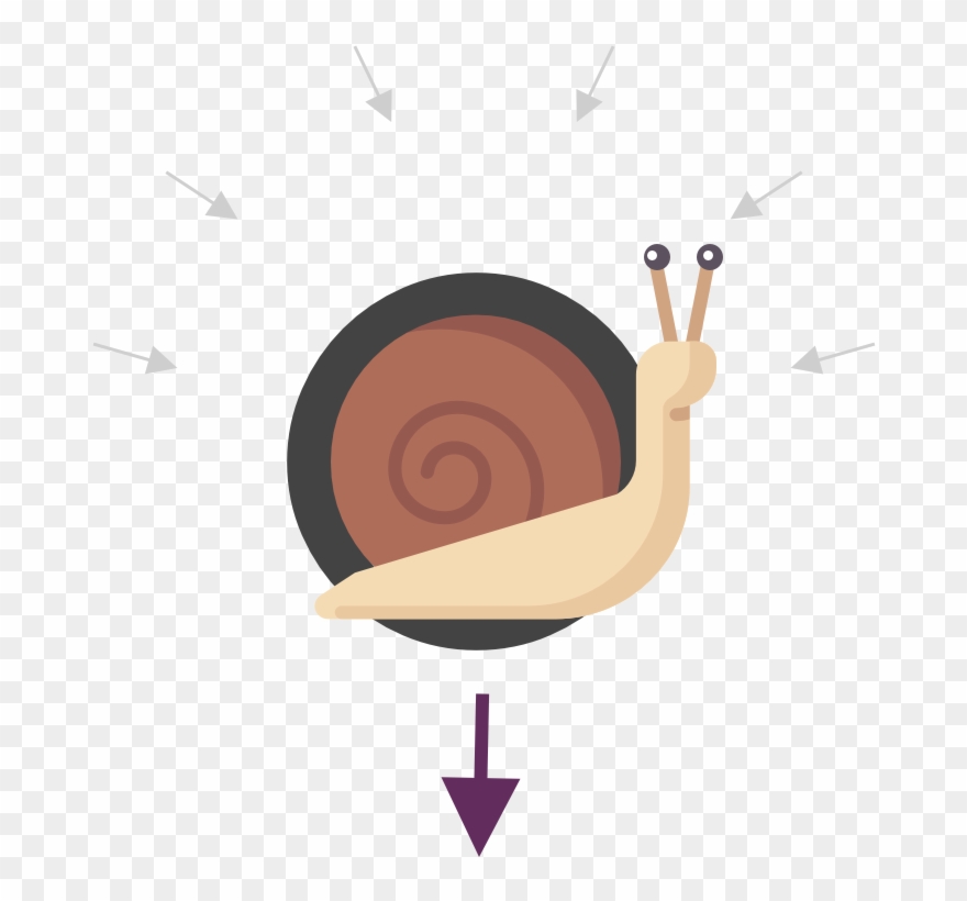 Snail Junction Clipart