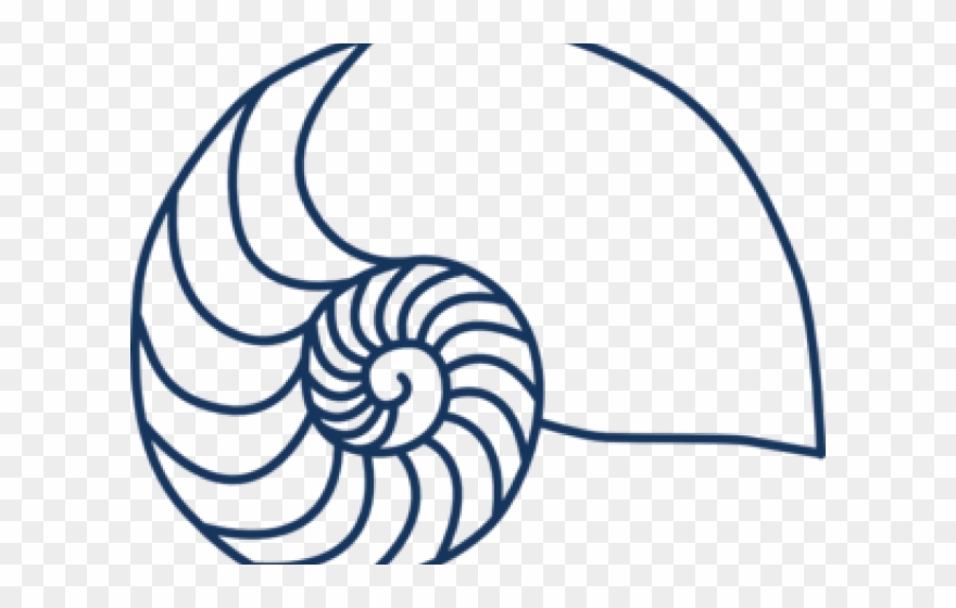 Shell Clipart Nautilus Shell - Png Download