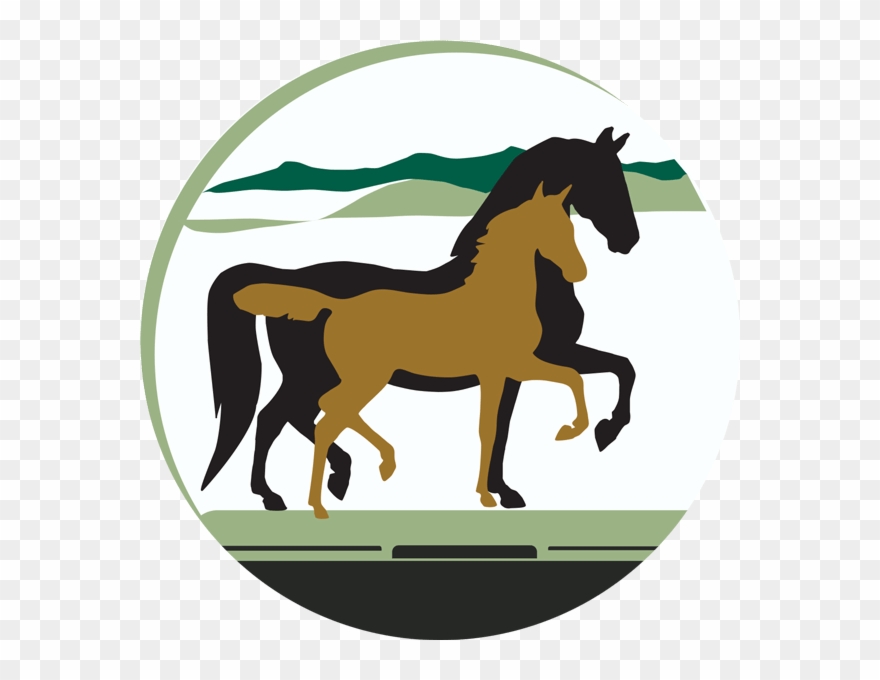 Keep An Eye On Our Latest News To See Our Accomplishments, Clipart