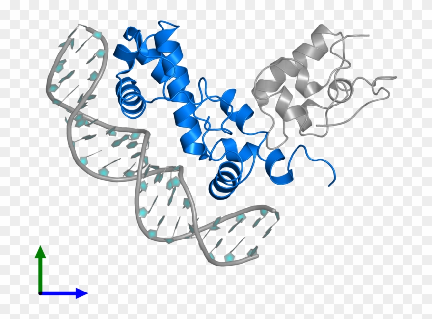 <div Class='caption-body'>pdb Entry 1xs9 Contains 1 Clipart