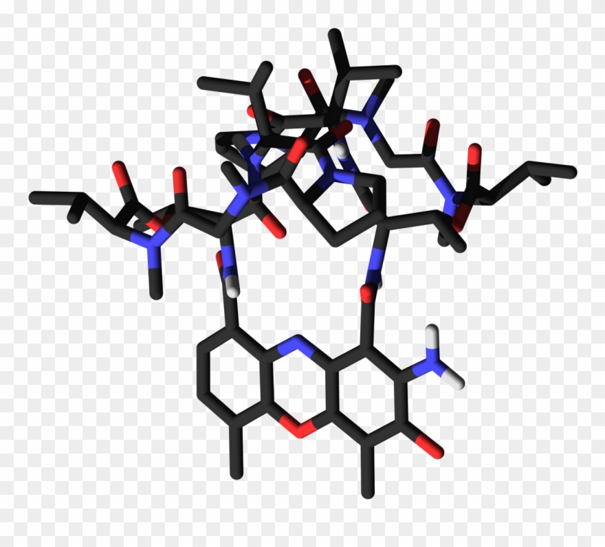 Actinomycin D 3d Conformation Clipart