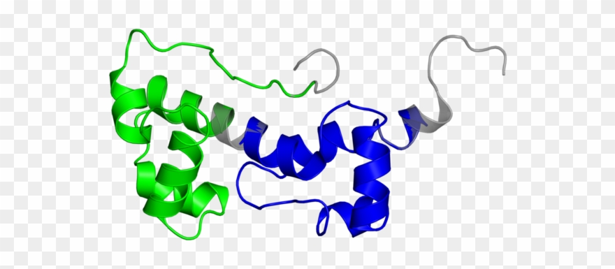 <div Class='caption-body'>2 Copies Of Cath Domain Clipart