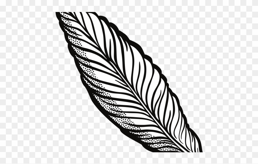 Feather Clipart Pencil - Png Download