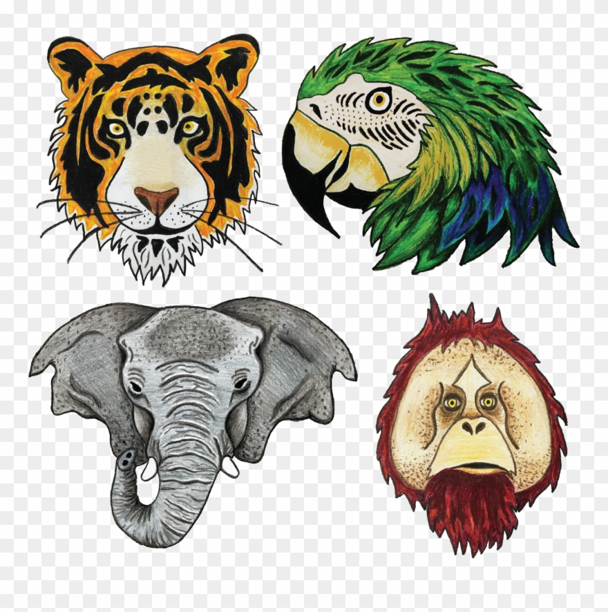The Animals Were Drawn Out With Colored Pencil, And Clipart