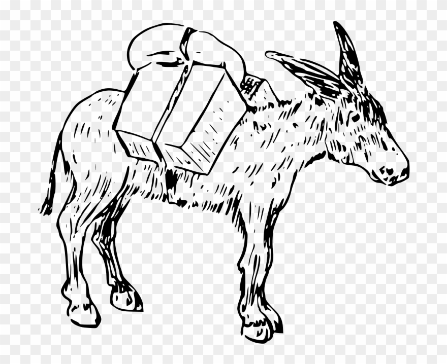 Medium Image Clipart
