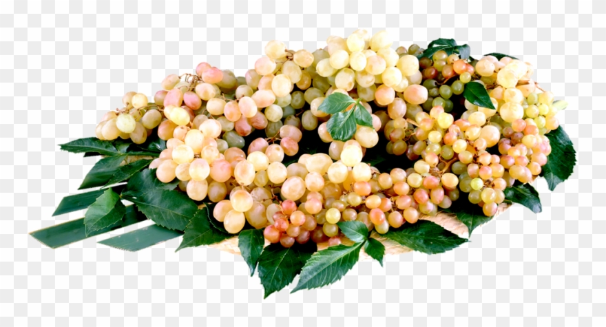 Purple Cartoon Grapes Clipart