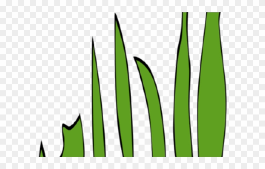 Lawn Clipart Grass Line - Png Download