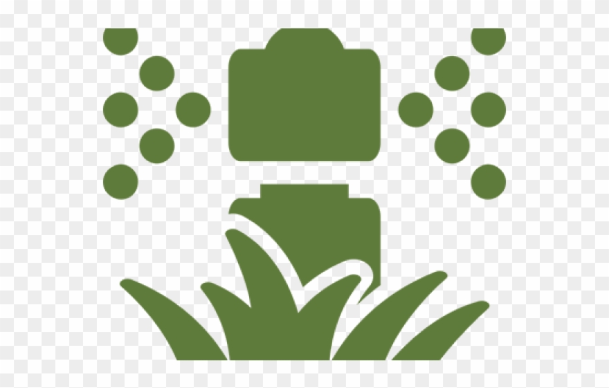 Lawn Clipart Grass Leaf - Png Download